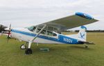 N180V @ KLAL - Cessna 180