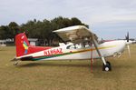 N186AZ @ KLAL - Cessna A185F - by Mark Pasqualino