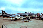 XZ494 @ EGDY - XZ494   BAe Sea Harrier FRS.1 [41H/912018] (Royal Navy) RNAS Yeovilton~G 01/08/1981 - by Ray Barber