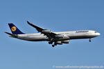 D-AIFC @ EDDF - Airbus A340-313 - LH DLH Lufthansa 'Gander Halifax' - 379 - D-AIFC - 31.07.2020 - FRA - by Ralf Winter