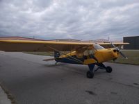 N5509H @ KHAO - Piper cub special pa11 - by Scott