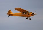 N42584 @ KOSH - EAA OSH 2019 - by Florida Metal