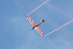 D-1901 @ LFFQ - DFS 108-53 Habicht E, On display, La Ferte-Alais Airfield (LFFQ) air show 2012 - by Yves-Q