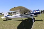 N3026B @ KLAL - Cessna 195B - by Mark Pasqualino