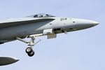 J-5014 @ LFRJ - McDonnell Douglas FA-18C Hornet, On final rwy 08, Landivisiau Naval Air Base (LFRJ) Tiger Meet 2017 - by Yves-Q