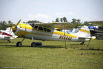 N4444C @ KLAL - Cessna 190  C/N 16029, N4444C - by Dariusz Jezewski www.FotoDj.com