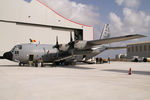 CH-01 @ LMML - Belgium - Air Force Lockheed C-130H Hercules - by Thomas Ramgraber
