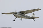 C-GPHY @ KOSH - Cessna 170B  C/N 20887, C-GPHY - by Dariusz Jezewski www.FotoDj.com