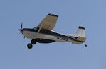 N13WS @ KOSH - Cessna A185F