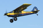 N179D @ F23 - At the 2020 Ranger Tx Fly-in - by Zane Adams