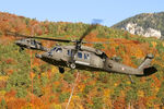 6M-BB - Austria - Air Force Sikorsky UH-60 Blackhawk - by Thomas Ramgraber