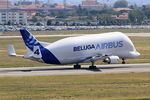 F-GSTD @ LFBO - Airbus A300B4-608ST Beluga, Landing Rwy 14R, Toulouse Blagnac Airport (LFBO-TLS) - by Yves-Q