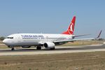 TC-JZH @ LMML - B737-800 TC-JZH Turkish Airlines - by Raymond Zammit