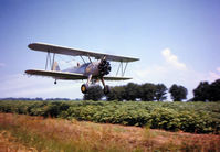 N61310 - Boeing Stearman N61310 shown spraying pesticide on cotton on Ralph R. McKinney's farm in Hosston, Louisiana during the 1960's. The pilot of the plane is Sherman Wynn. - by William L. Mitchell III