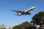 D-AIHL @ KLAX - Lufthansa A346 zx - by Florida Metal