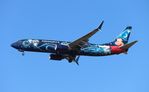 C-GWSZ @ KMCO - Disney Sorcerer WestJet 737-800 zx - by Florida Metal