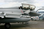 317 @ LFOE - Dassault Rafale B, Static display, Evreux-Fauville Air Base 105 (LFOE) - by Yves-Q