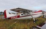 N124LR @ PALH - Cessna A185E - by Mark Pasqualino
