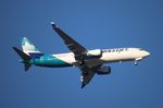 C-GTSW @ KMCO - WJA 737-8 zx - by Florida Metal