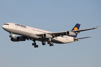 D-AIFE @ LMML - A340 D-AIFE Lufthansa - by Raymond Zammit