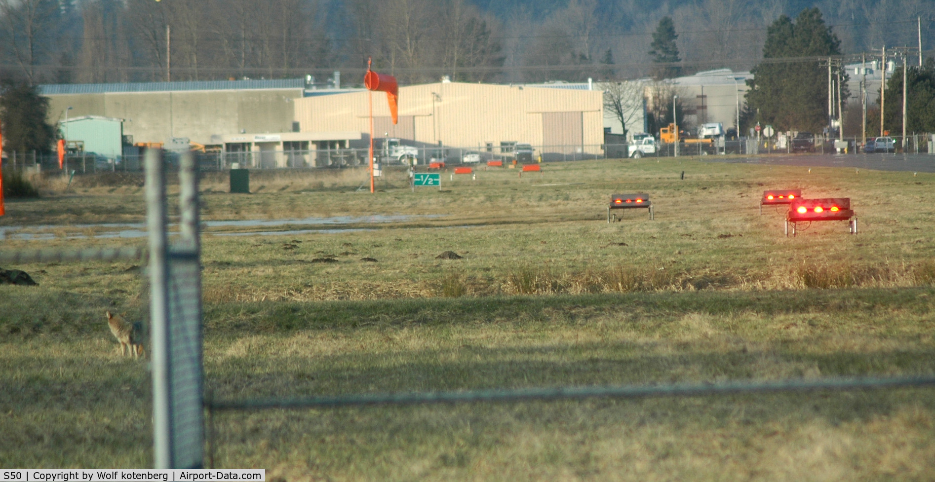 Auburn Municipal Airport (S50) - radio chatter indicated a coyote near the S end of 34
