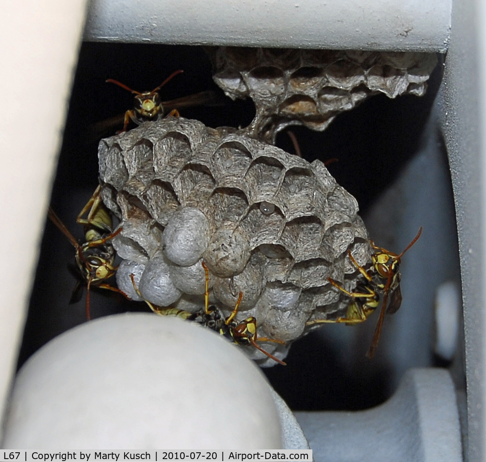 Rialto Municipal /miro Fld/ Airport (L67) - Wasp nest on the fuel truck hose reel.