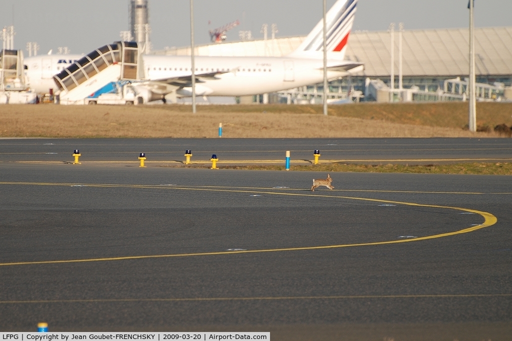 Paris Charles de Gaulle Airport (Roissy Airport), Paris France (LFPG) - Bugs Bunny