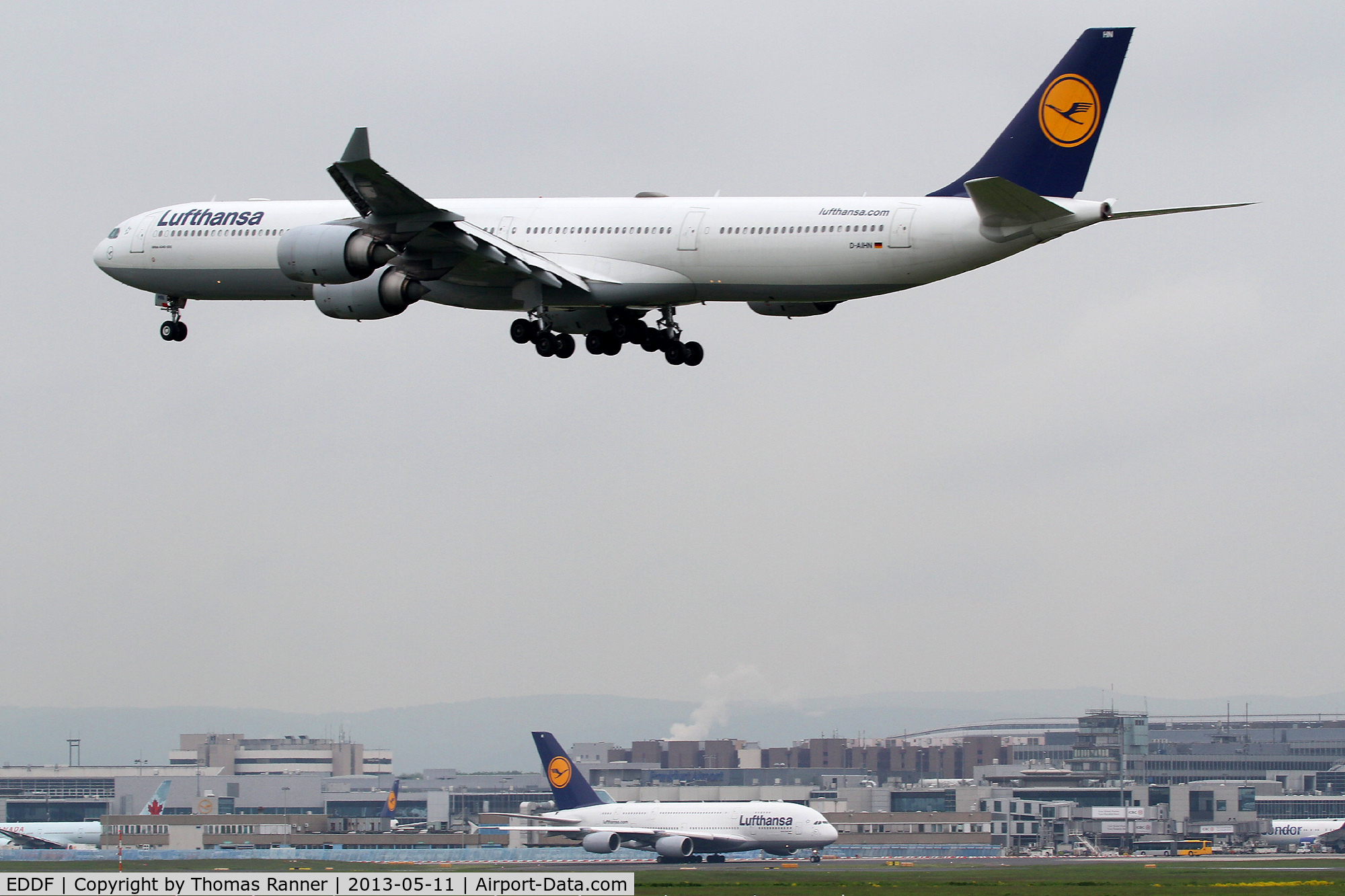 Frankfurt International Airport, Frankfurt am Main Germany (EDDF) - two Lufthansa heavy's