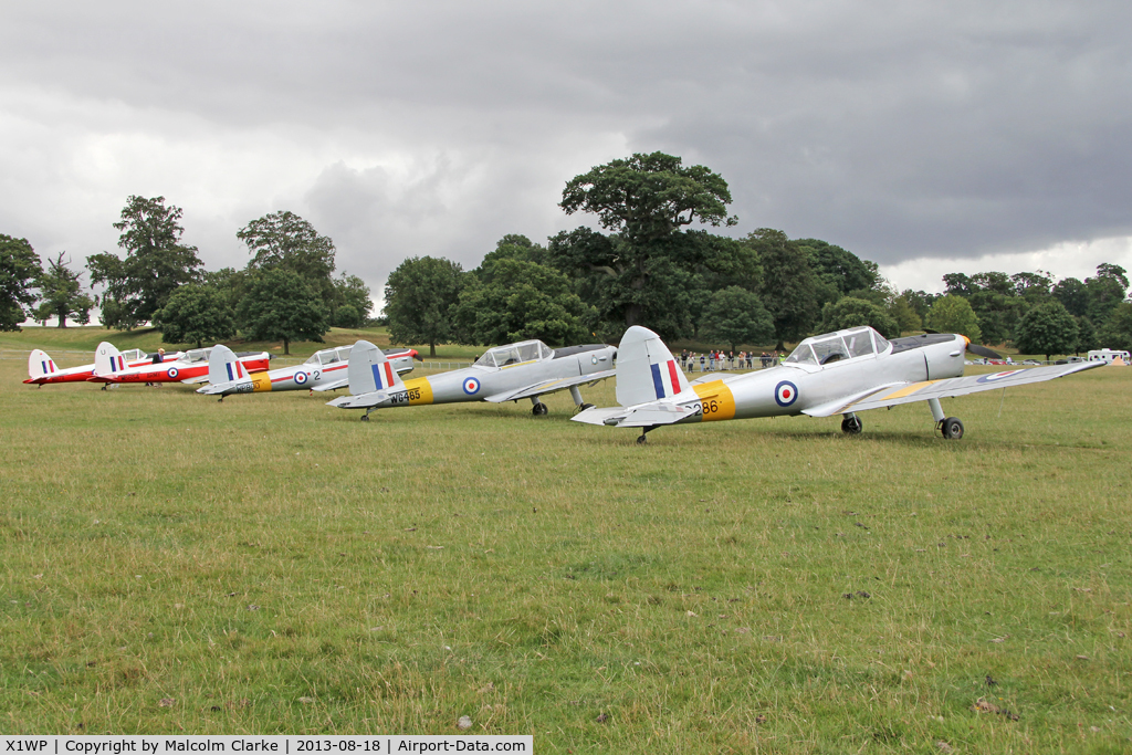 X1WP Airport - Chipmunk line-up at The De Havilland Moth Club's 28th International Moth Rally at Woburn Abbey Park. August 2013.