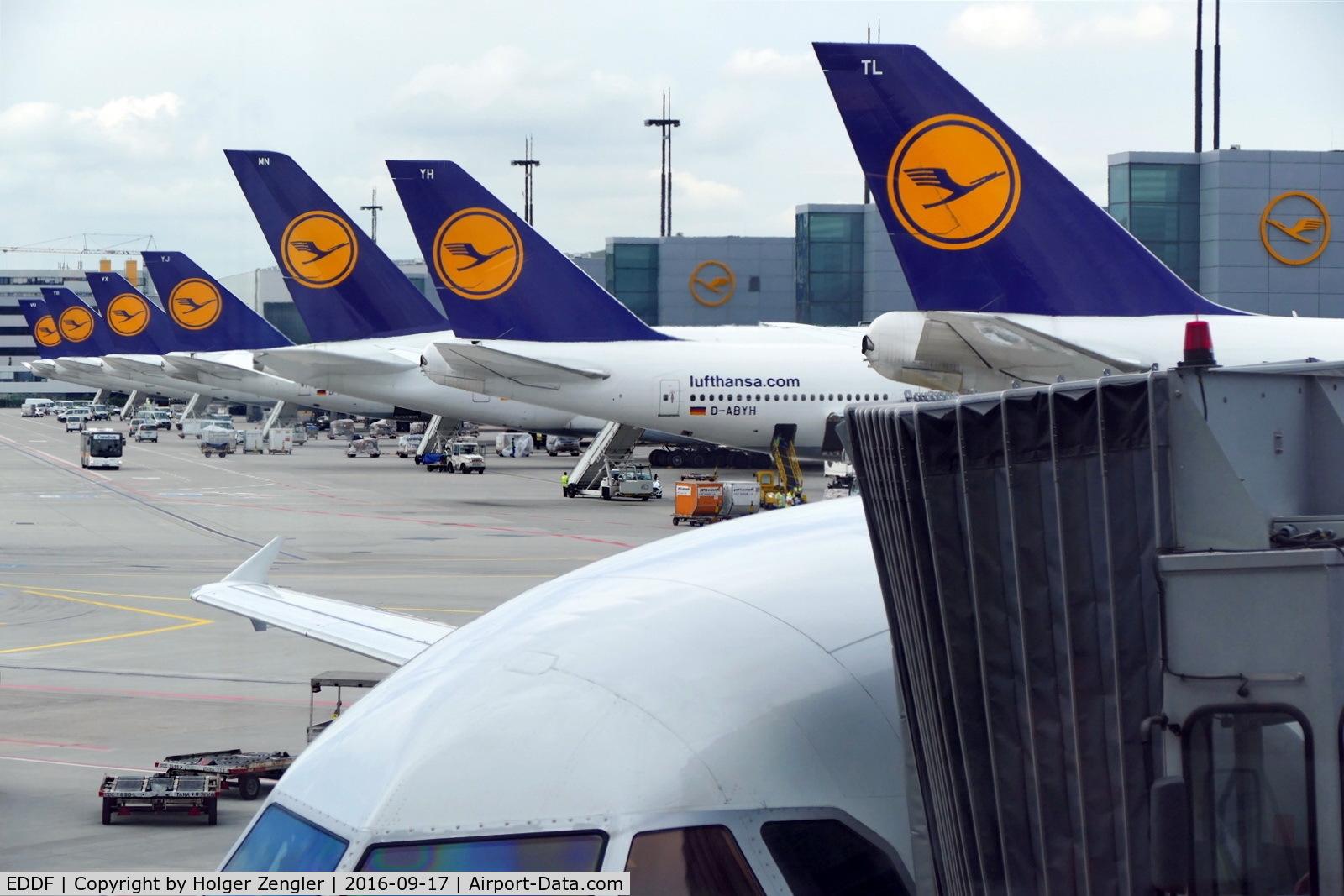 Frankfurt International Airport, Frankfurt am Main Germany (EDDF) - No doubt, this is homeland of Lufthansa....