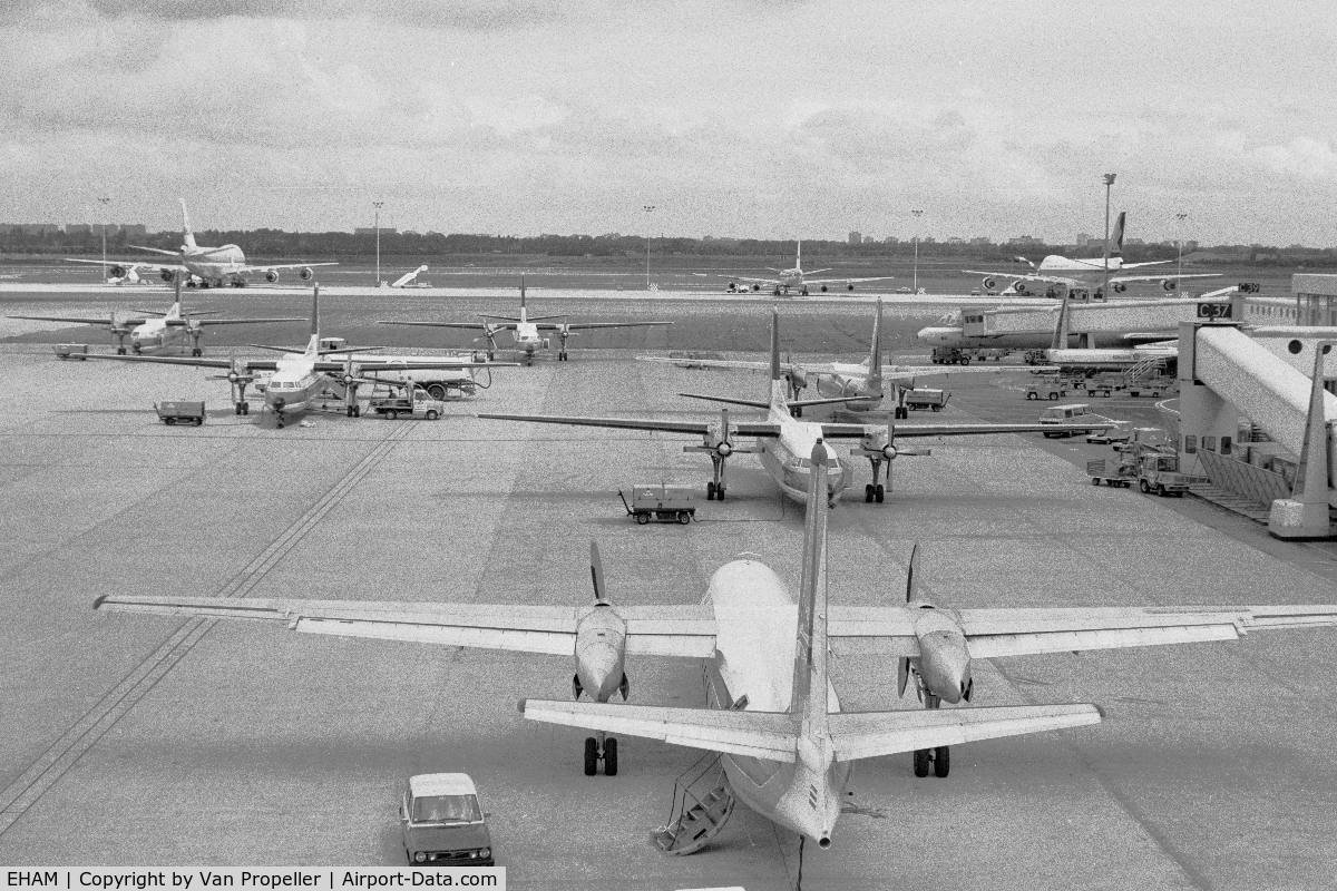 Amsterdam Schiphol Airport, Haarlemmermeer, near Amsterdam Netherlands (EHAM) - Overview of the platform of Schiphol in 1980 with Friendships: a FH-227B of DAT in the foreground and F27s of NLM Cityhopper behind