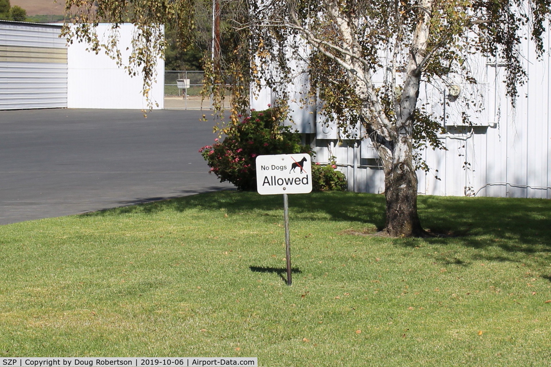 Santa Paula Airport (SZP) - No Dogs-posted in SZP's western newer section.