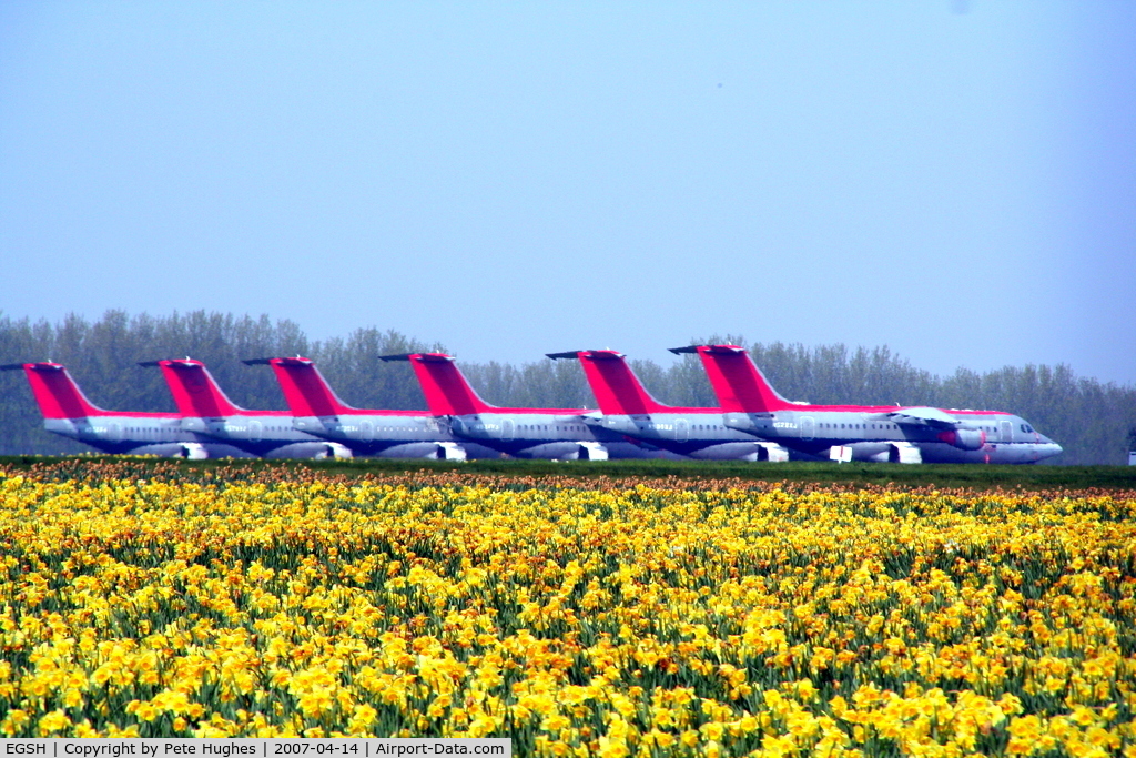 Norwich International Airport, Norwich, England United Kingdom (EGSH) - stored 146 fleet at Norwich - one of my favourite photos with the daffodil foreground