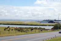 Auckland International Airport, Auckland New Zealand (AKL) - Auckland airport is quite rural - mooh! - by Micha Lueck