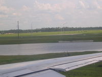 Orlando International Airport (MCO) - Sandhill Cranes at MCO - by Florida Metal