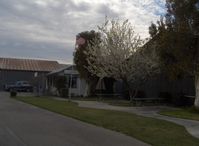 Santa Paula Airport (SZP) - Santa Paula Airport Office, Shade tree in bloom - by Doug Robertson