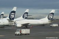 Seattle-tacoma International Airport (SEA) - 737s from Alaska Airlines - by Michel Teiten ( www.mablehome.com )