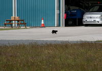 Blackpool International Airport, Blackpool, England United Kingdom (EGNH) - Black Cat on the apron outside of Hangar 3 - by Chris Hall