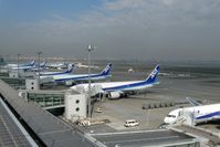 Tokyo International Airport (Haneda), Ota, Tokyo Japan (RJTT) - ANA fleet at Tokyo Haneda airport - by metricbolt