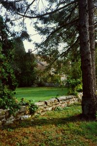 Bally Spring Farm Airport (PA35) - Stone Wall at the Inn at Bally Spring Farm, Bally Spring Farm Airport, Bally, PA- October 1991 - by scotch-canadian