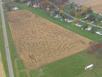 Weller Airport (38I) - Corn maze along the south side of the EW runway near Urbana, Ohio - by Bob Simmermon