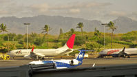 Honolulu International Airport (HNL) - A JAL Boeing 737 parked at Honolulu International Airport - by Murat Tanyel