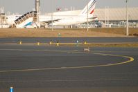 Paris Charles de Gaulle Airport (Roissy Airport), Paris France (LFPG) - Bugs Bunny - by Jean Goubet-FRENCHSKY