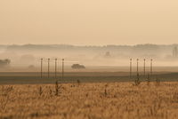 Brussels Airport, Brussels / Zaventem   Belgium (EBBR) - Misty sunrise - by Daniel Vanderauwera