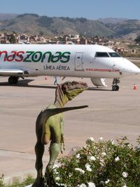 Juana Azurduy de Padilla International Airport, Sucre Bolivia (SLSU) - Sucre airport, gate to the dinosaur track paleontological site - by confauna