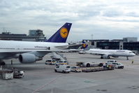 Frankfurt International Airport, Frankfurt am Main Germany (EDDF) - At terminal 1... - by Holger Zengler