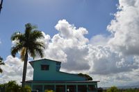 Les Cayes Airport - The main building of the Airport of Les Cayes with the Palm Tree !!! - by Jonas Laurince