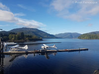 Prince Rupert/Seal Cove Water Airport, Prince Rupert, British Columbia Canada (CZSW) - General view of docks. - by Remi Farvacque