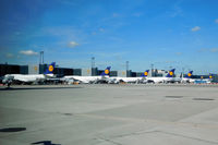 Frankfurt International Airport, Frankfurt am Main Germany (EDDF) - Amazing line-up of VLAs (B747-8i and A380) - by Micha Lueck