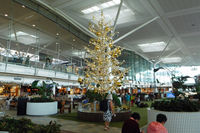 Brisbane International Airport - It is the beginning of the season - by Micha Lueck